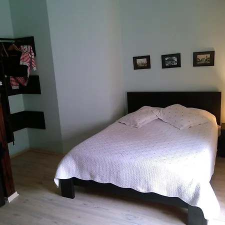 Rami House Central Double Rooms 3* براشوف