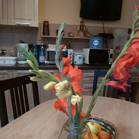 Gæstehus Rami House Double 3*