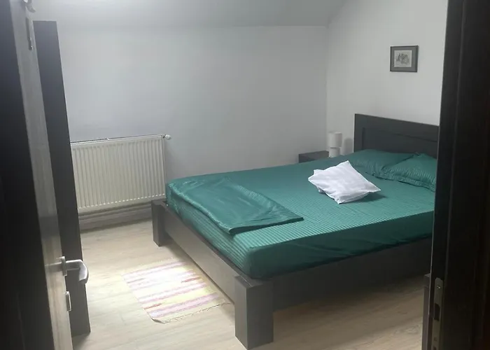 Rami House Double Gæstehus Braşov